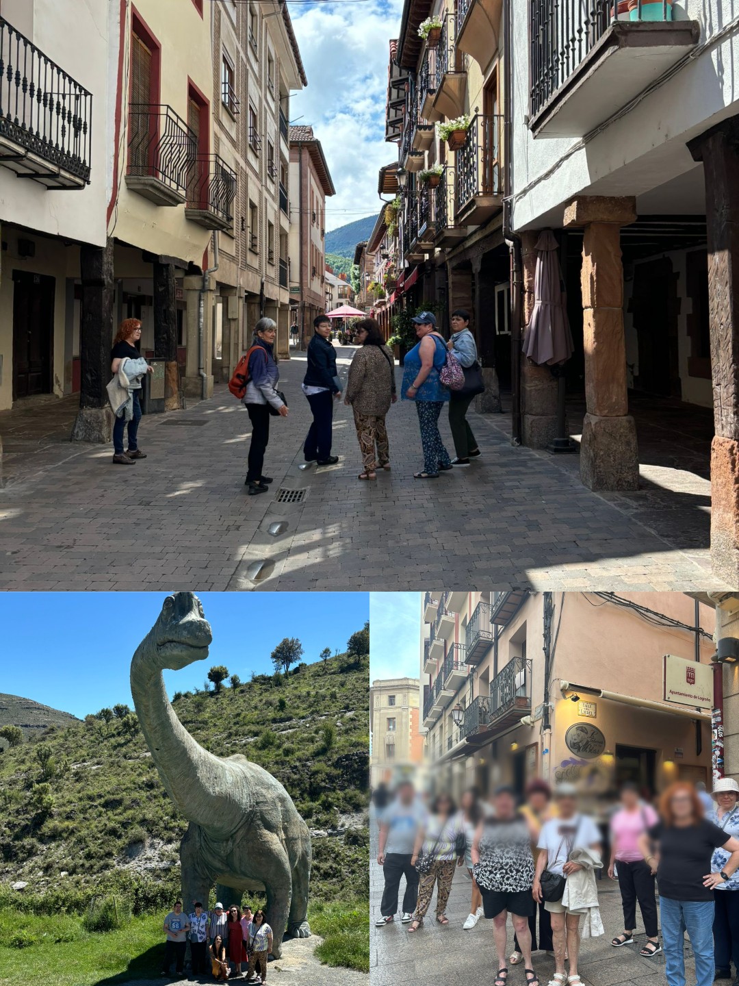 Aprender, reír, disfrutar en general de vacaciones.