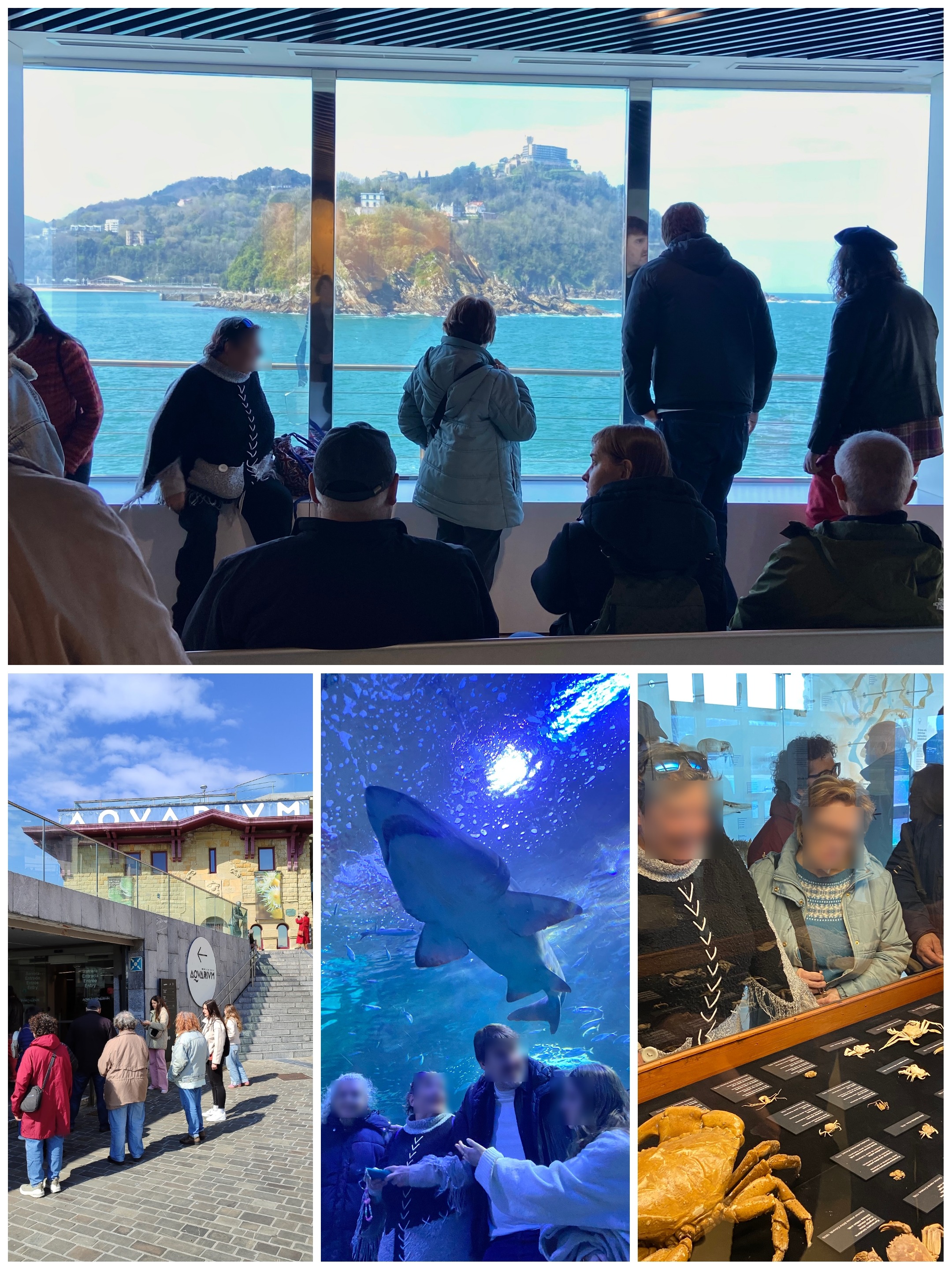 En el Aquarium conociendo los tesoros del mar.