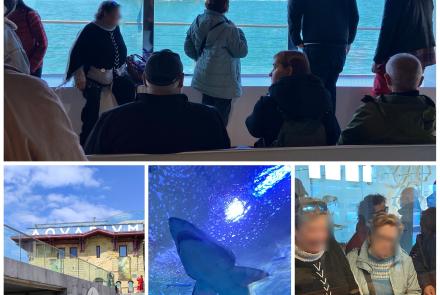 En el Aquarium conociendo los tesoros del mar.